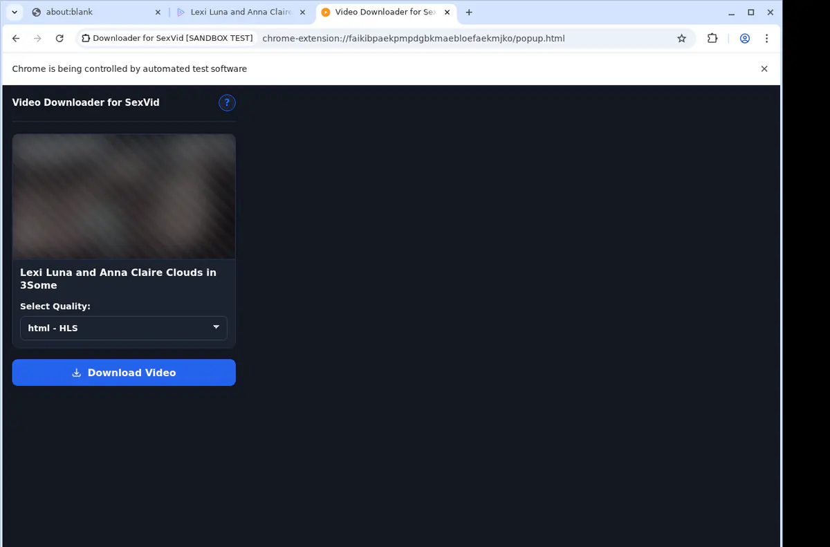 Sexvid Video Downloader browser extension screenshot 3